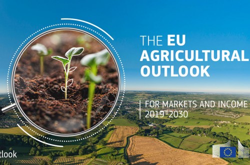 Las demandas sociales impulsarán el desarrollo del mercado alimentario en la UE a medio plazo