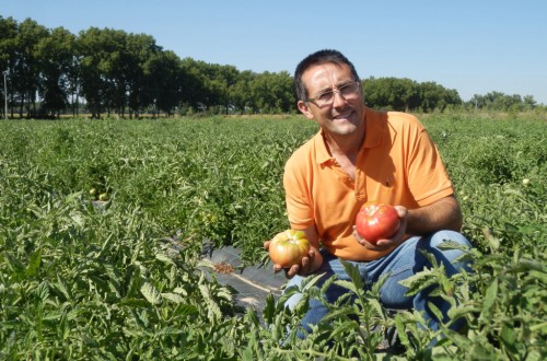 La exportación española de frutas y hortalizas se sitúa ya en los 13.400 M€