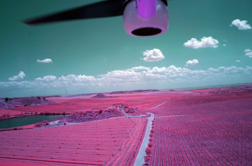 Por un mayor uso de las TIC para supervisar los requisitos agro-ambientales y climáticos de la PAC