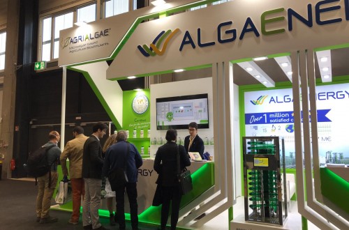 AlgaEnergy cierra con éxito su primera participación en Fruit Logistica