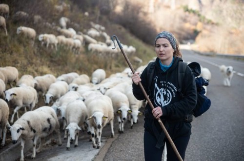 ¿Le importa a la UE la agricultura, el medio rural y las personas que producen alimentos?