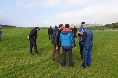 El Intia organiza dos jornadas de identificación de malas hierbas en estado de plántula