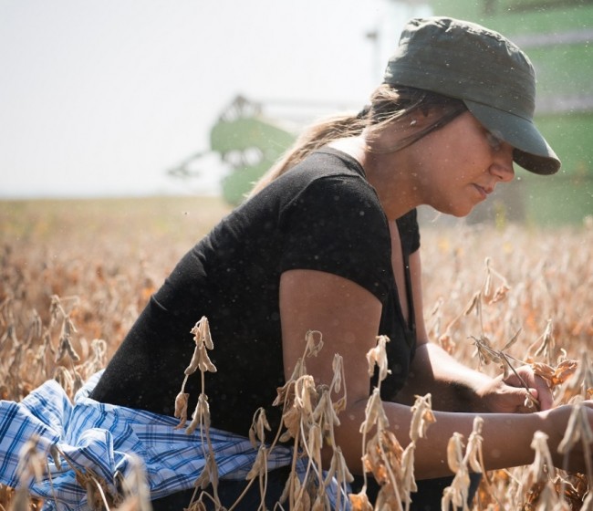 Murcia abona 4,8 millones de euros a más de 200 jóvenes agricultores de la Región