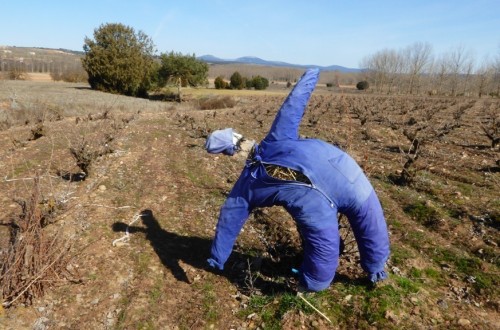 Enero fue de nuevo un mal mes para el empleo y la afiliación en la actividad agraria