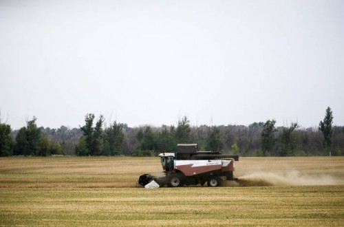 Índice FAO: los precios mundiales de los alimentos básicos suben en enero por cuarto mes consecutivo