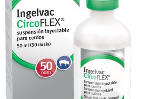 Boehringer Ingelheim presenta DiaTEC, una nueva tecnología de purificación para Ingelvac CircoFLEX