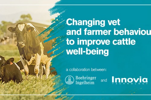 Boehringer Ingelheim lanza un proyecto para la mejora del bienestar animal