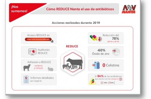 Nanta reduce una media de 78% el uso de antibióticos en todas las especies