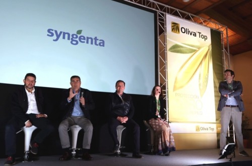 Oliva Top, la nueva solución de Syngenta contra el repilo del olivo