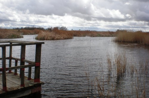 Las Tablas, sin agua, sin ningún interés político y total pasividad administrativa