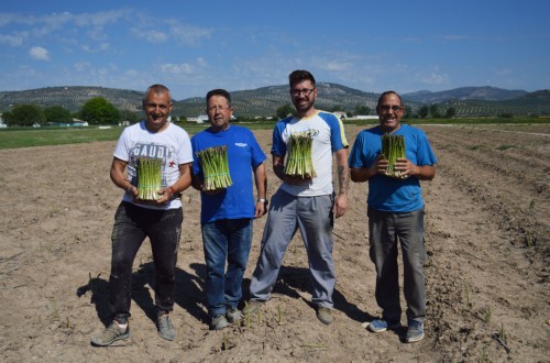 La cadena alimentaria europea pide reconocer el compromiso esencial de la actividad de sus trabajadores