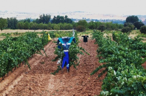 Más paro y menor afiliación a la Seguridad Social de trabajadores agrarios por cuenta ajena en febrero