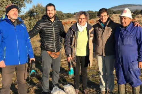 El CITA colabora con Castilla y León en el estudio de la correcta alimentación de las vacas nodrizas