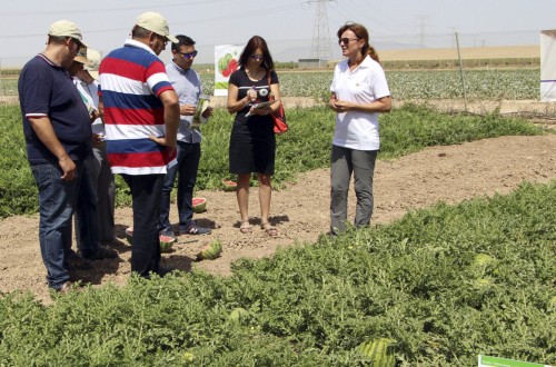 El sector agrario es donde menos cobran las mujeres, según los técnicos de Hacienda