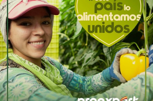 Covid-19: Proexport se suman a la acción #EstePaísLoAlimentamosUnidos