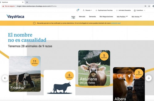 VayaVaca, el primer mercado de ganado virtual de España