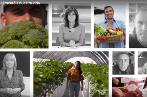 Inicio de la campaña #AlimentáisNuestraVida en apoyo al sector agroalimentario y pesquero