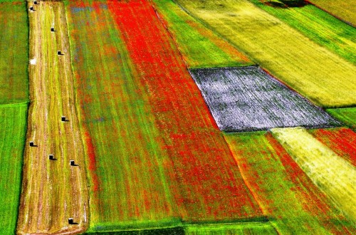 Los ministros de Agricultura de la UE reclaman medidas adicionales urgentes para el sector