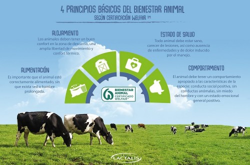 Lactalis certifica a 900 granjas en bienestar animal