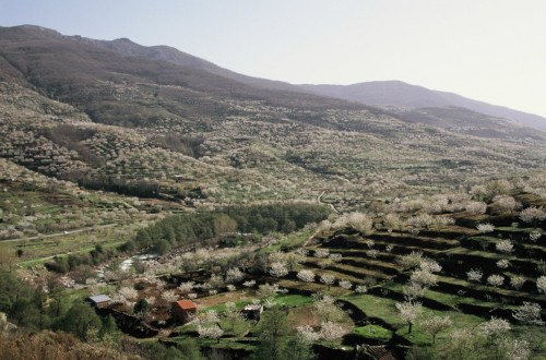 ¿Cómo incidirá en el sector agrario y el medio rural la Estrategia «Biodiversidad Horizonte 2030»?