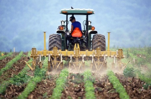 El paro en la agricultura baja un 2,17% en noviembre, hasta los 85.612 desempleados