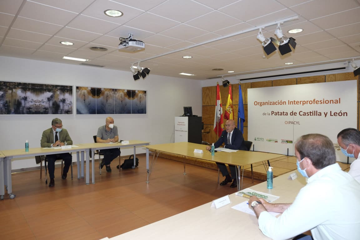 Castilla y León contará por fin con la primera organización interprofesional de la patata en España