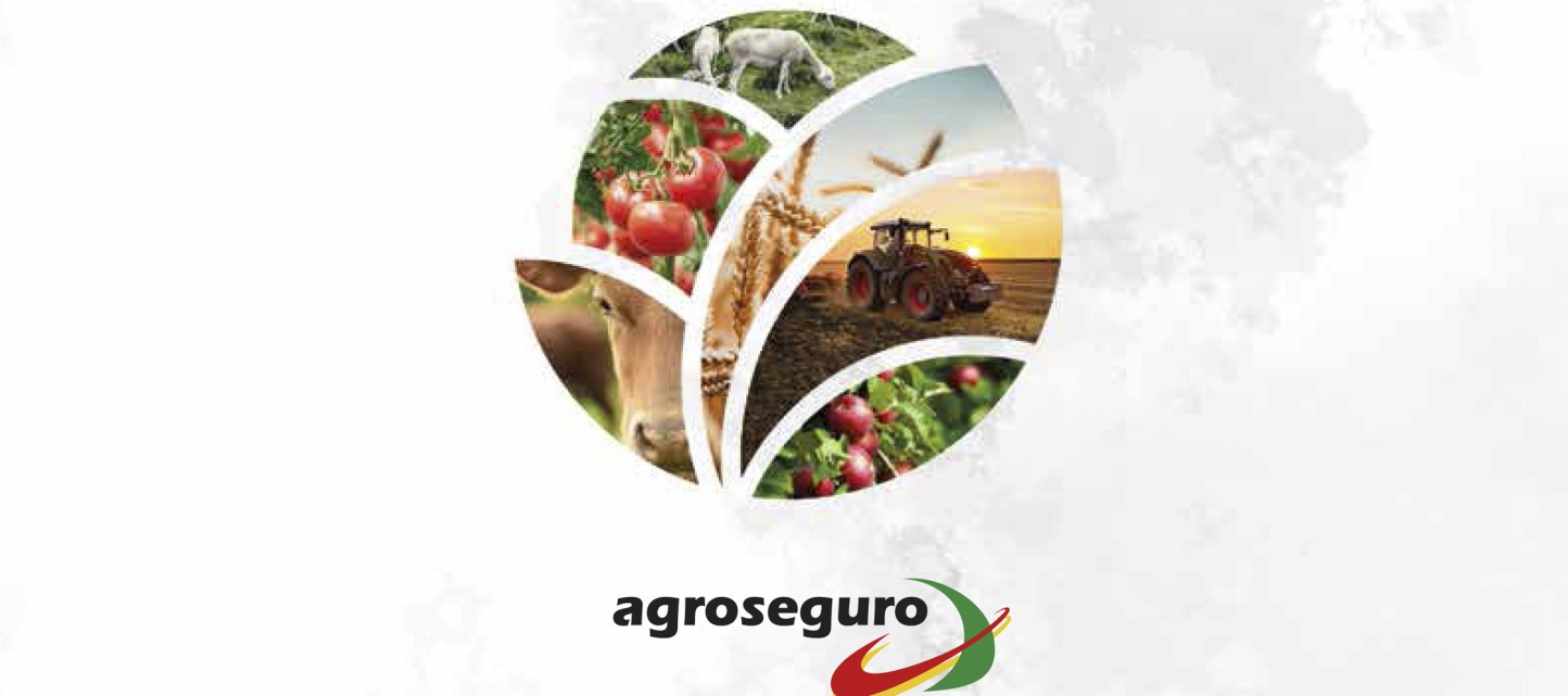Casi 14.200 M€, cifra récord de capital asegurado de la producción agraria durante el ejercicio de 2019