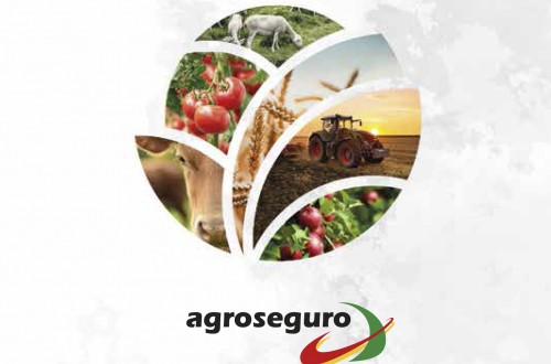 Casi 14.200 M€, cifra récord de capital asegurado de la producción agraria durante el ejercicio de 2019