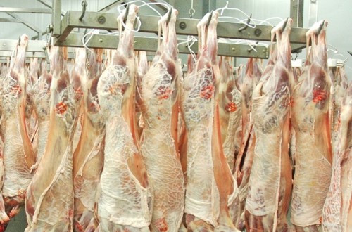 Covid-19: España lidera las escasas solicitudes de ayuda al almacenamiento privado de carnes de vacuno y ovino en la UE