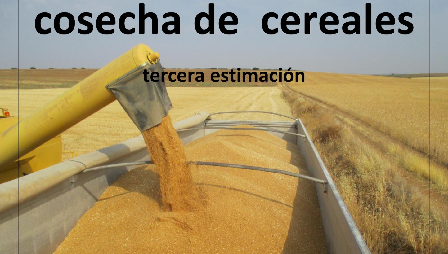Cereales: la tercera estimación de Cooperativas sitúa la cosecha en 26,7 Mt
