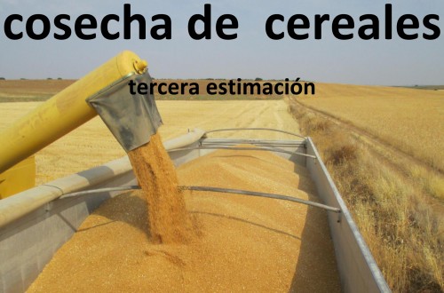 Cereales: la tercera estimación de Cooperativas sitúa la cosecha en 26,7 Mt