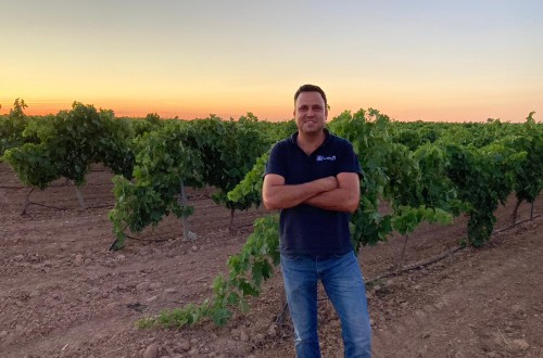 Una fertilización de calidad en los viñedos manchegos, fundamental para obtener elevadas producciones
