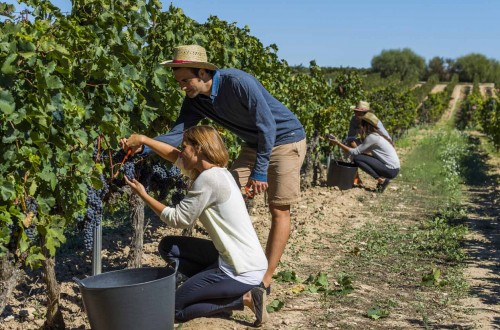 Septiembre 2020: menos paro registrado y mayor afiliación en la actividad agraria que el mes anterior