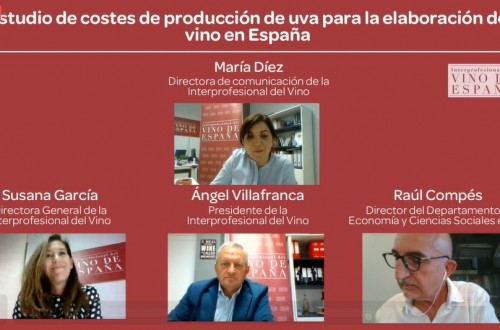 La Interprofesional del Vino presenta su “Estudio de costes de producción de uva para la elaboración de vino en España”