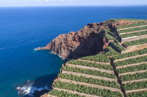 Una semana muy importante para la agricultura de las Islas Canarias, por Asprocan