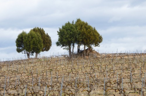 El sector agrario y agroalimentario español percibió 7.514 M€ de pagos PAC en el ejercicio financiero 2020