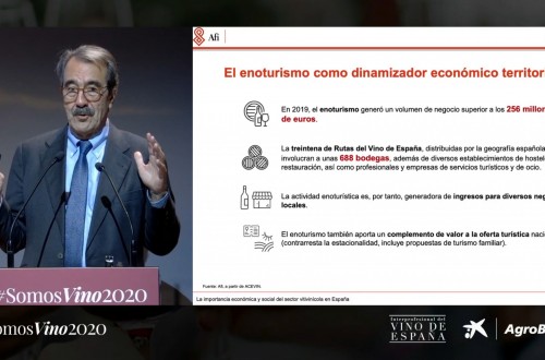 La OIVE presenta #SomosVino2020, un análisis sobre el presente y futuro del sector vitivinícola