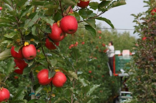 Unión de Uniones alerta del impacto del Pacto Verde en la agricultura europea