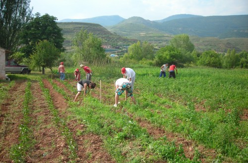 Reforma de la PAC: una oportunidad para reenfocar nuestra política agraria en favor del modelo familiar. Por Joaquín Olona Blasco