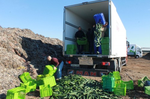 FEPEX pide nuevas medidas de gestión de crisis para el sector hortofrutícola