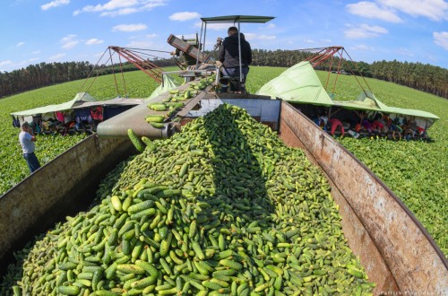 Transición hacia una nueva política agrícola de la UE. Por Parlamento Europeo.