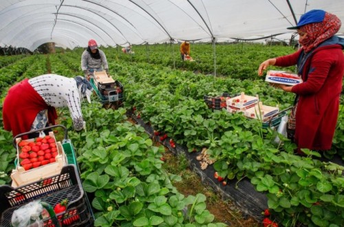 El descenso del paro registrado en Agricultura fue el menor desde 2009