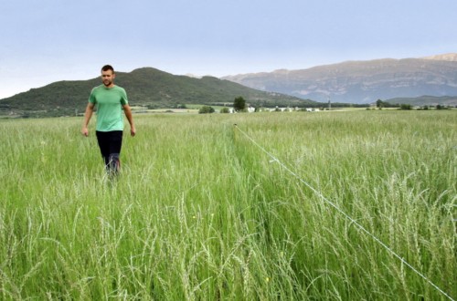 Estudio EIT Food: más del 80% de los consumidores españoles confían en los agricultores