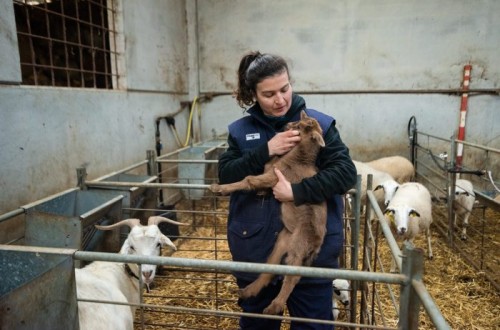 ¿Cómo logramos que los jóvenes apuesten por la agricultura? *  Eduardo Moyano Estrada (IESA-CSIC. España) y Germano Ehlert Pollnow (UFP-RGS. Brasil)