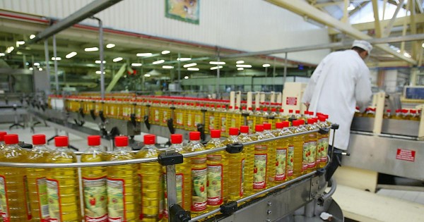 El BOE publica por fin las normas de autorregulación y de panel de cata de aceite de oliva