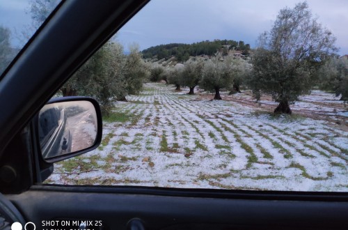 Las indemnizaciones por siniestralidad, muy inferiores a las primas pagadas por los seguros agrarios en 2020