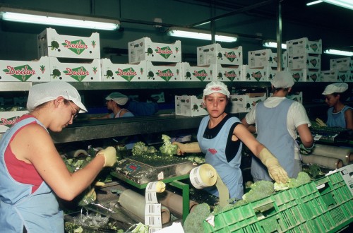 El paro registrado en Agricultura aumentó en cerca de 6.200 personas en febrero