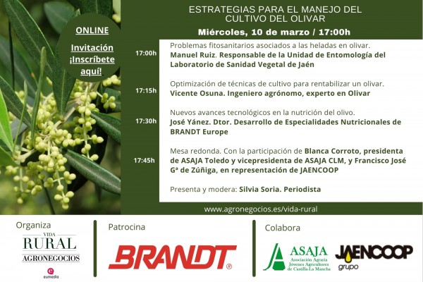Vida Rural celebra mañana un webinar sobre estrategias para el manejo del cultivo del olivar