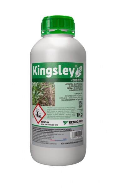 Kinsgley, el nuevo herbicida para maíz de Kenogard