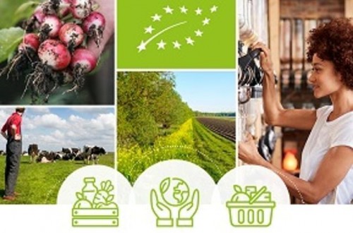 Bruselas presenta su Plan de Acción para desarrollar la producción ecológica en la UE de aquí hasta 2030